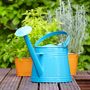 Automatic watering system and environment monitoring for home garden using Microsoft Azure Services icon